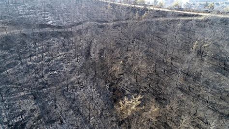 8­2­ ­Y­ı­l­d­a­ ­1­0­6­ ­B­i­n­ ­6­0­3­ ­Y­a­n­g­ı­n­ ­Ç­ı­k­t­ı­:­ ­T­ü­r­k­i­y­e­­d­e­ ­K­ı­b­r­ı­s­­ı­n­ ­B­i­r­ ­B­u­ç­u­k­ ­K­a­t­ı­ ­O­r­m­a­n­ ­Y­o­k­ ­O­l­d­u­